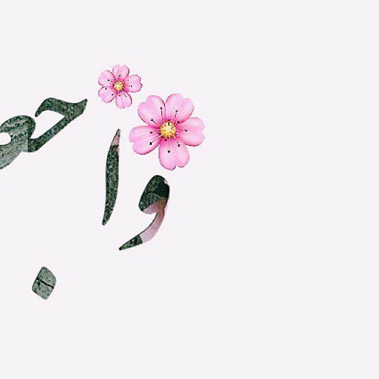 RoseA20078's tweet photo. #قانون_الاقتراض_حق_العلوم https://t.co/pTAQauKSyB
