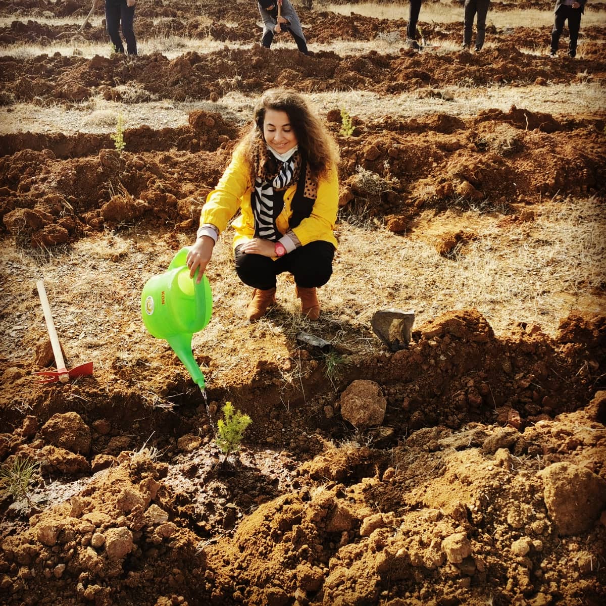cvlzahu's tweet photo. "Geleceğe Nefes" ağaçlandırma projesi kapsamında 11  Kasım saat 11.11’de "Bugün fidan, yarın nefes" diyerek Milli Ağaçlandırma Günü'ne katıldık. 🌲🌲 https://t.co/qbbzgvj3tM