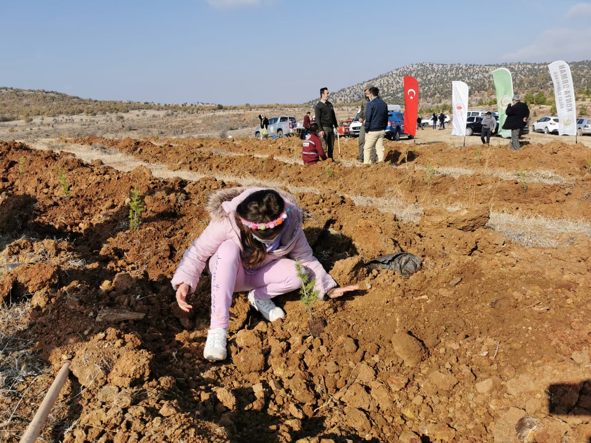 cvlzahu's tweet photo. "Geleceğe Nefes" ağaçlandırma projesi kapsamında 11  Kasım saat 11.11’de "Bugün fidan, yarın nefes" diyerek Milli Ağaçlandırma Günü'ne katıldık. 🌲🌲 https://t.co/qbbzgvj3tM
