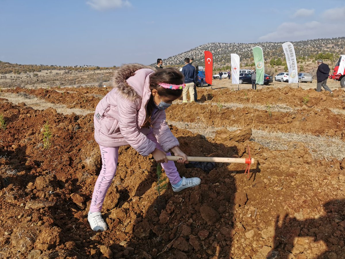 cvlzahu's tweet photo. "Geleceğe Nefes" ağaçlandırma projesi kapsamında 11  Kasım saat 11.11’de "Bugün fidan, yarın nefes" diyerek Milli Ağaçlandırma Günü'ne katıldık. 🌲🌲 https://t.co/qbbzgvj3tM