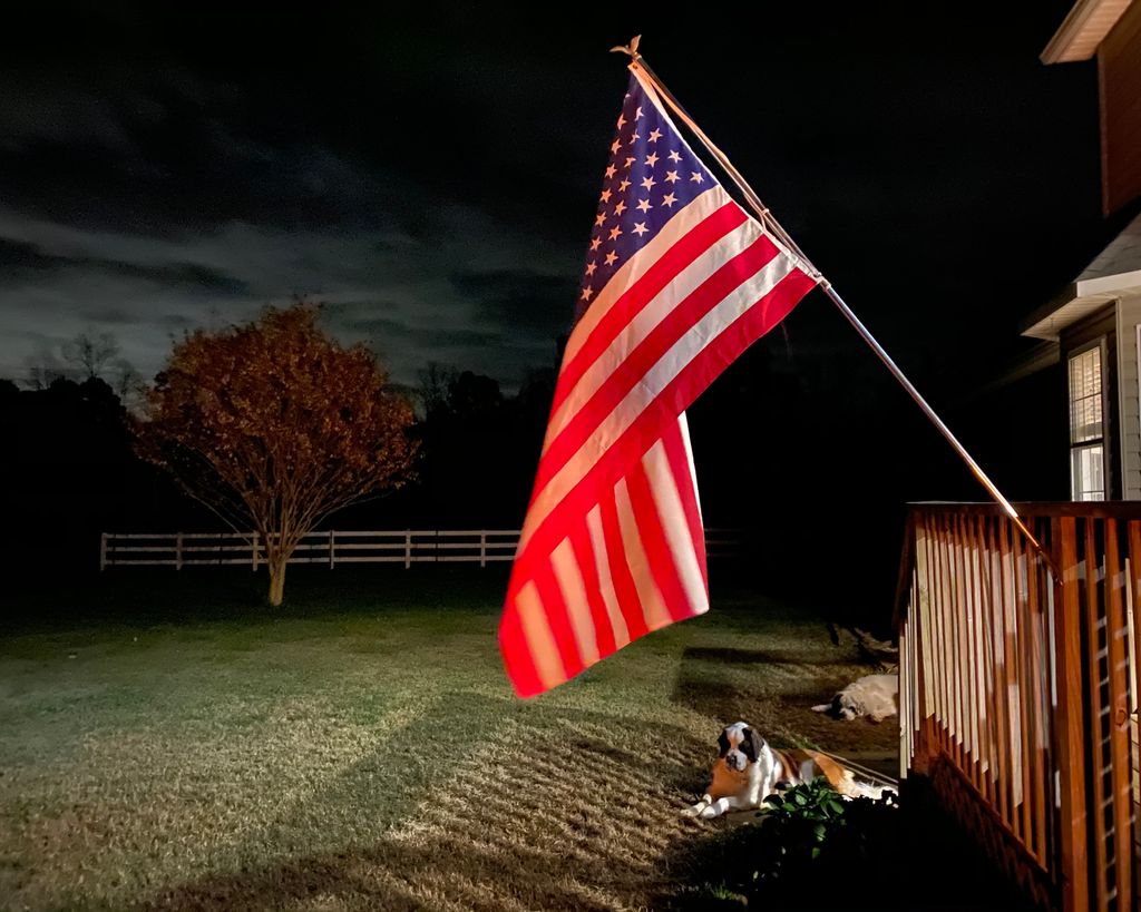 JonWelbornNC's tweet photo. Pic from last nights backyard campfire seemed appropriate for #VeteransDay2020 #welborndogs #photobomb https://t.co/dAOo4WMABW