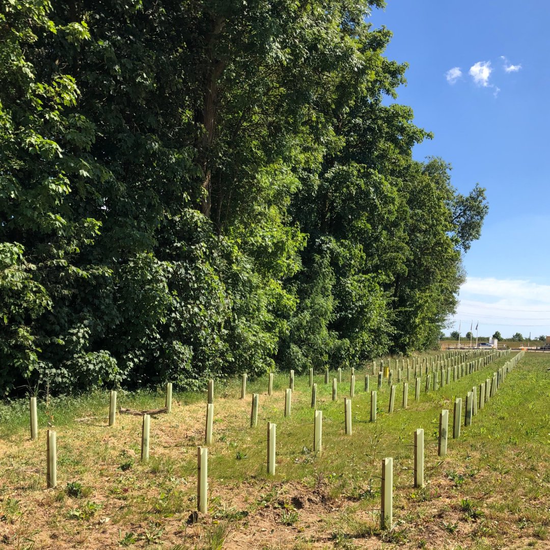 Time4Trees_'s tweet photo. At Time4Trees, we aim to give everyone the chance to make a difference, whether it be large or small, by using local trees
to help solve a global, ongoing problem. We create new forests and environmental biodiversity in areas where this would
otherwise not exist. 🌳 https://t.co/GjQ49LeTl8