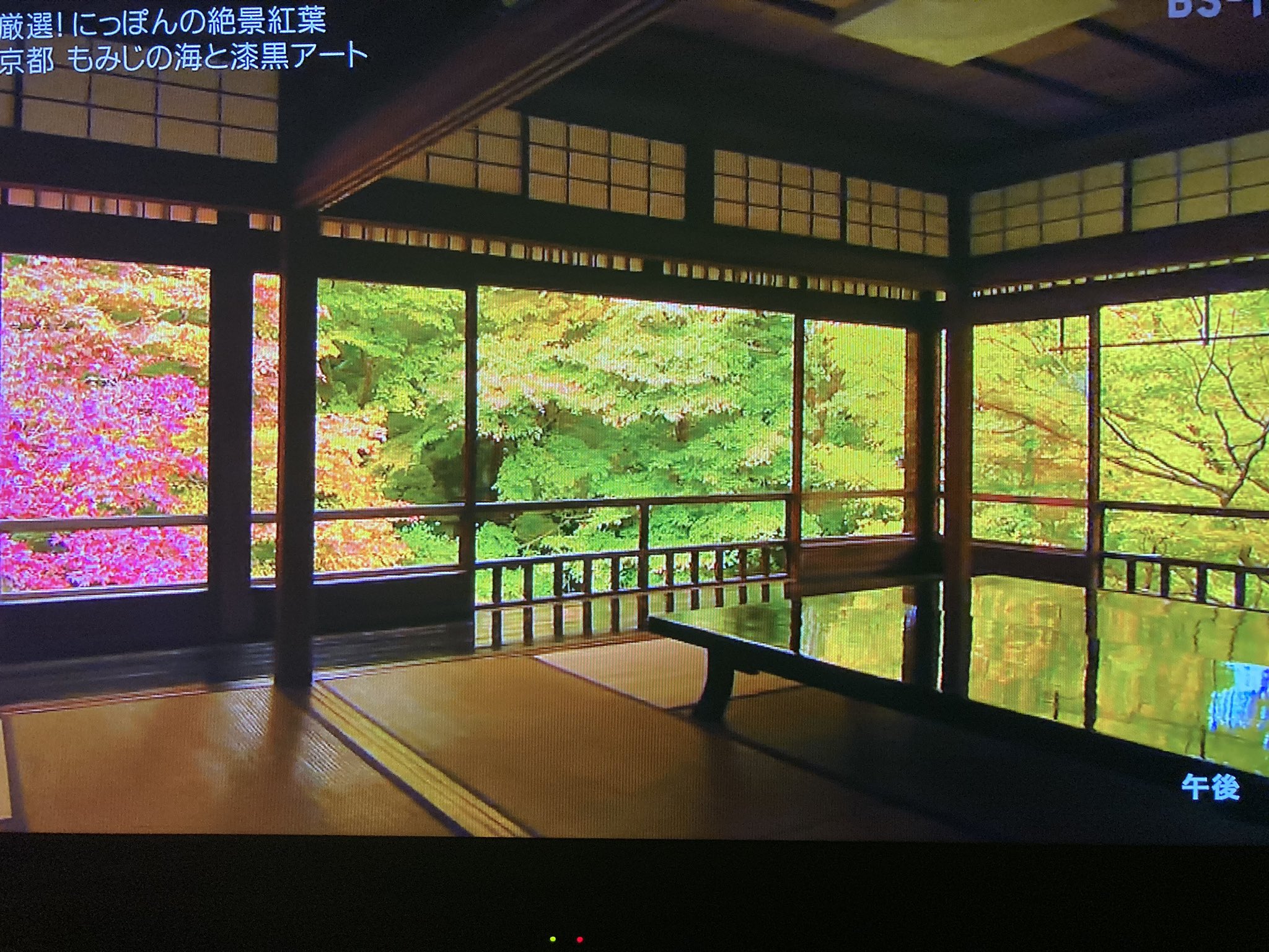 Kazenohana07 美しい日本に出会う旅 厳選 にっぽんの絶景紅葉 大雪山 京都 瑠璃光院 額縁の絵のようなもみじの紅葉 机に映る紅葉 上高地 北アルプス 青森 十和田湖 奥入瀬渓谷 蔦沼 赤く燃え上がる 立山 錦繍の空中散歩 東海の四季桜と紅葉 奈良の柿の