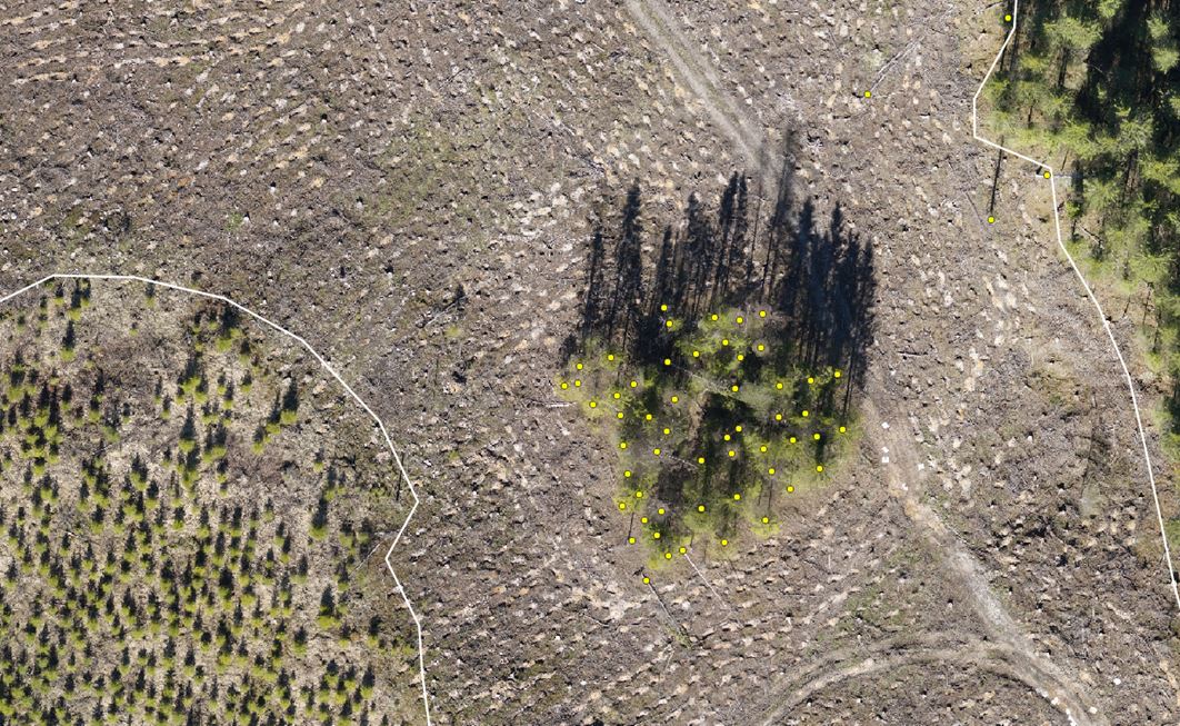 metsakeskus's tweet photo. Tervetuloa Metsälaki-ajankohtaiswebinaariin 1.12. Webinaarissa esitellään tuloksia ja kokemuksia satelliittikuvapohjaisesta metsän käytön seurannasta ja dronekuvauksiin perustuvista hakkuiden tarkastuksista. Ilmoittautuminen:  https://t.co/f63x2CxPj6 #metsälaki https://t.co/xGwSEgQITS