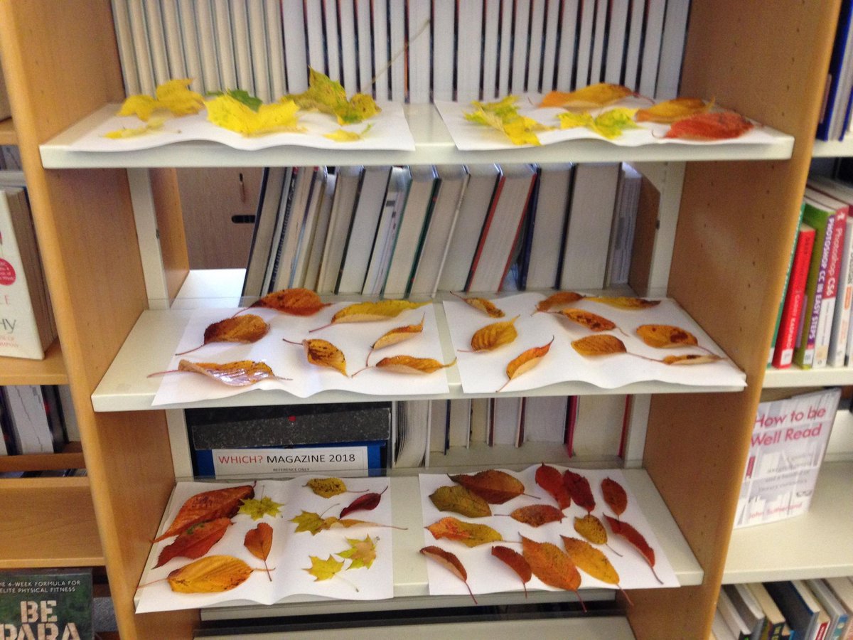 LudlowLibrary's tweet photo. During #LibraryLockdown we have found a new use for our shelves! A preparation area for up coming autumn craft! @ShropLibraries @LetsGoLudlow @ShropsWildlife @ArtsConnectWM https://t.co/aEi4G8JF7g