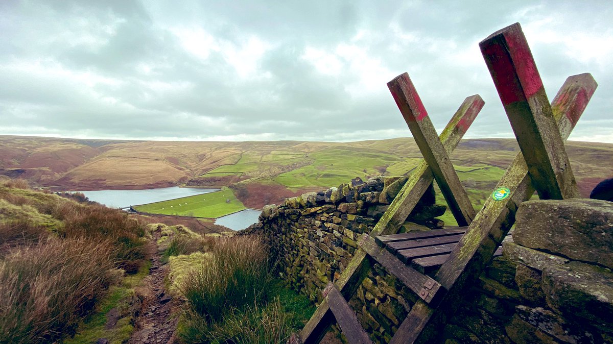 ANDREW NUTTER tweet media