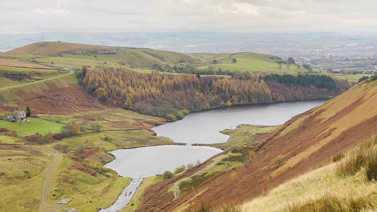 ANDREW NUTTER tweet media