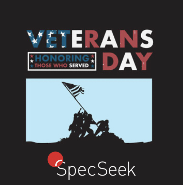 SpecSeek's tweet photo. Honoring those who served! #VeteransDay2020 #lighting #specification #Veterans https://t.co/DazySZg5Pe