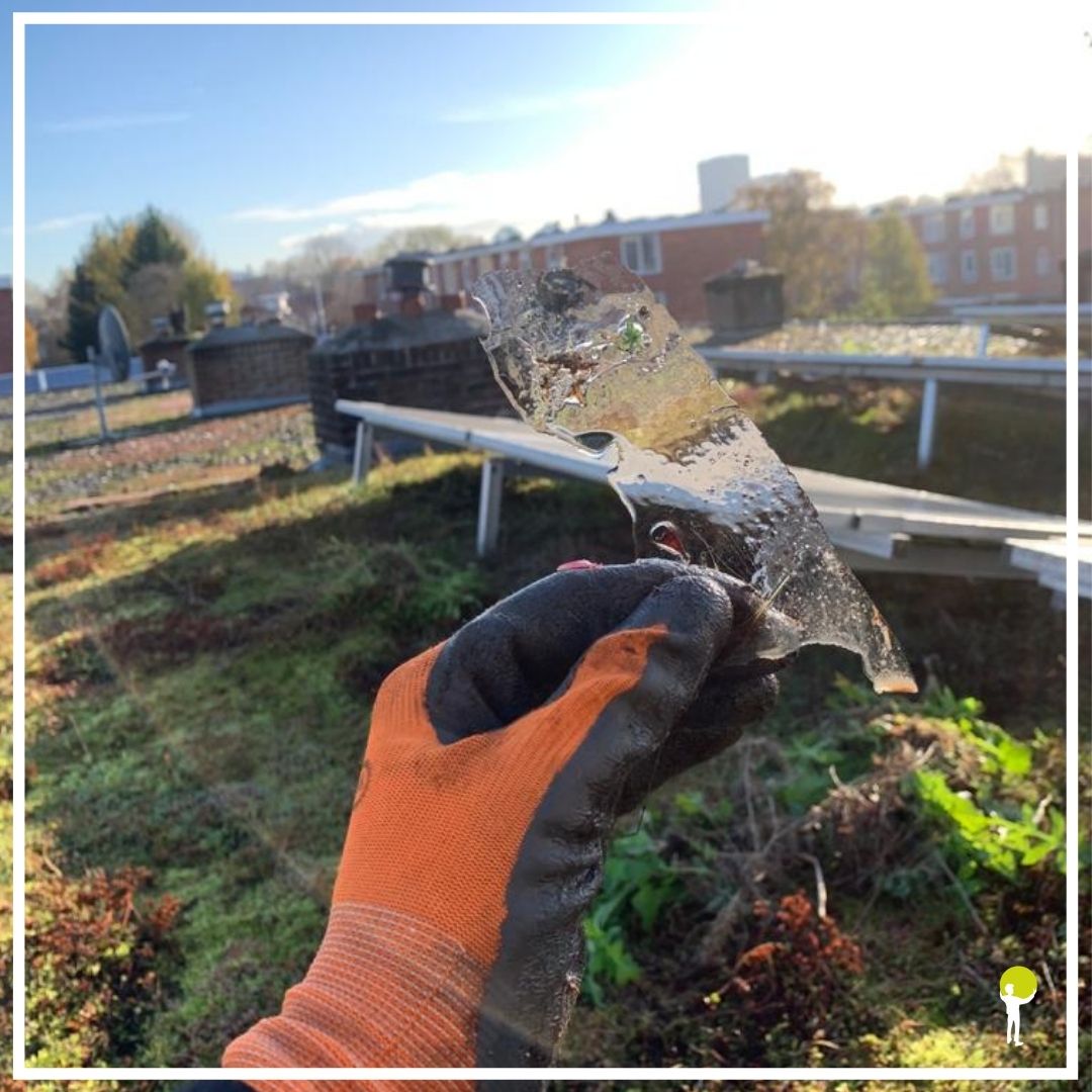 Bent u al klaar voor de koude periode van het jaar? Onze sedumplantjes wel!

Ook in de winter is een groen dak met zonnepanelen een wijze en zeer rendabele investering voor uw dak. Wilt u kunnen genieten van deze sedumplanten op uw dak? 
Neem dan contact met ons op voor advies!