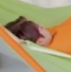 นมข้าวโพด🌽 ( not very active ) tweet media