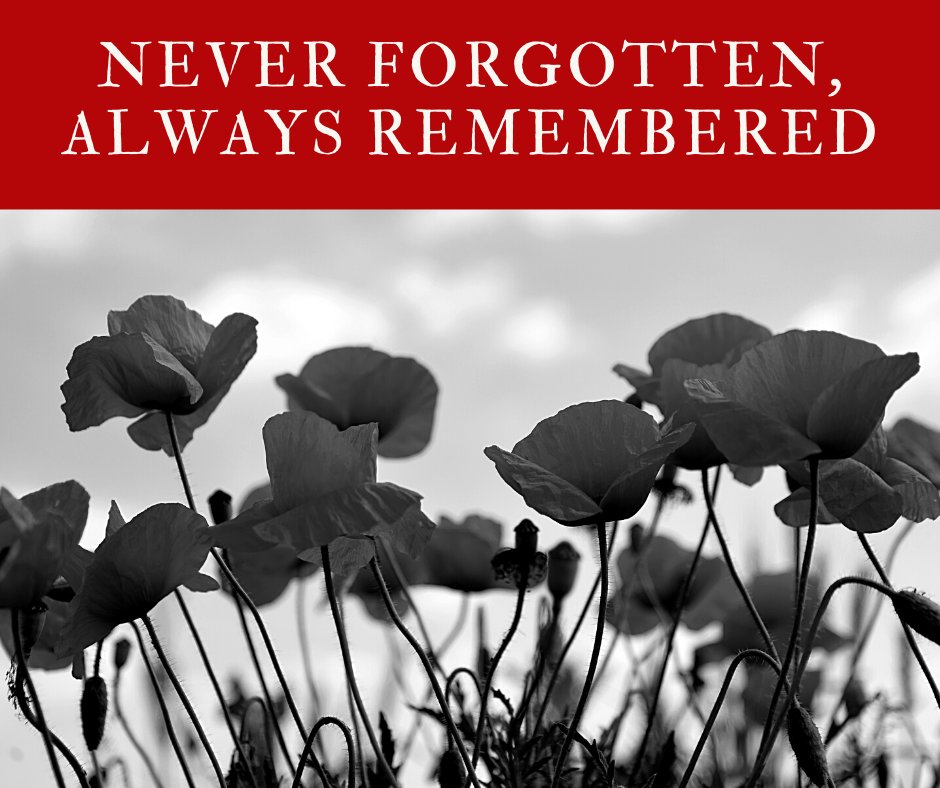 Flower & Wolf tweet media