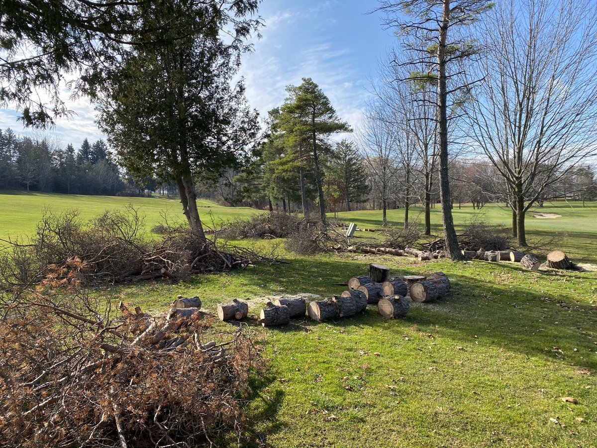 pgccgreens's tweet photo. No snow yet... but tree removal has begun nonetheless. #pgcc2020 #leaningtowerofboxes https://t.co/EMbckESgB9