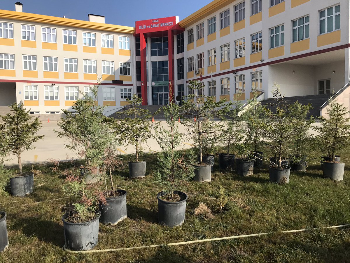 bilsem_corum's tweet photo. Geleceğe nefes olduk....Bahçemizde 200’e yakın fidanı toprakla buluşturduk. https://t.co/wYtt2v7K5f