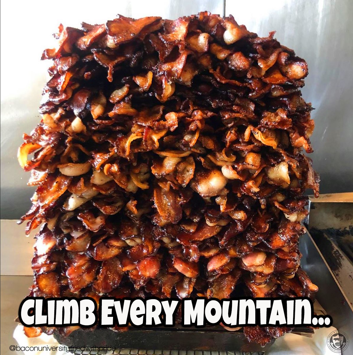 dennysbaconsalt's tweet photo. π₯π₯π₯#getinmybelly #bacon #baconbacon #baconbaconbacon #baconandeggs #brunch #baconbrunch #pork #porkbelly #baconfordays https://t.co/uJGteNxNC3