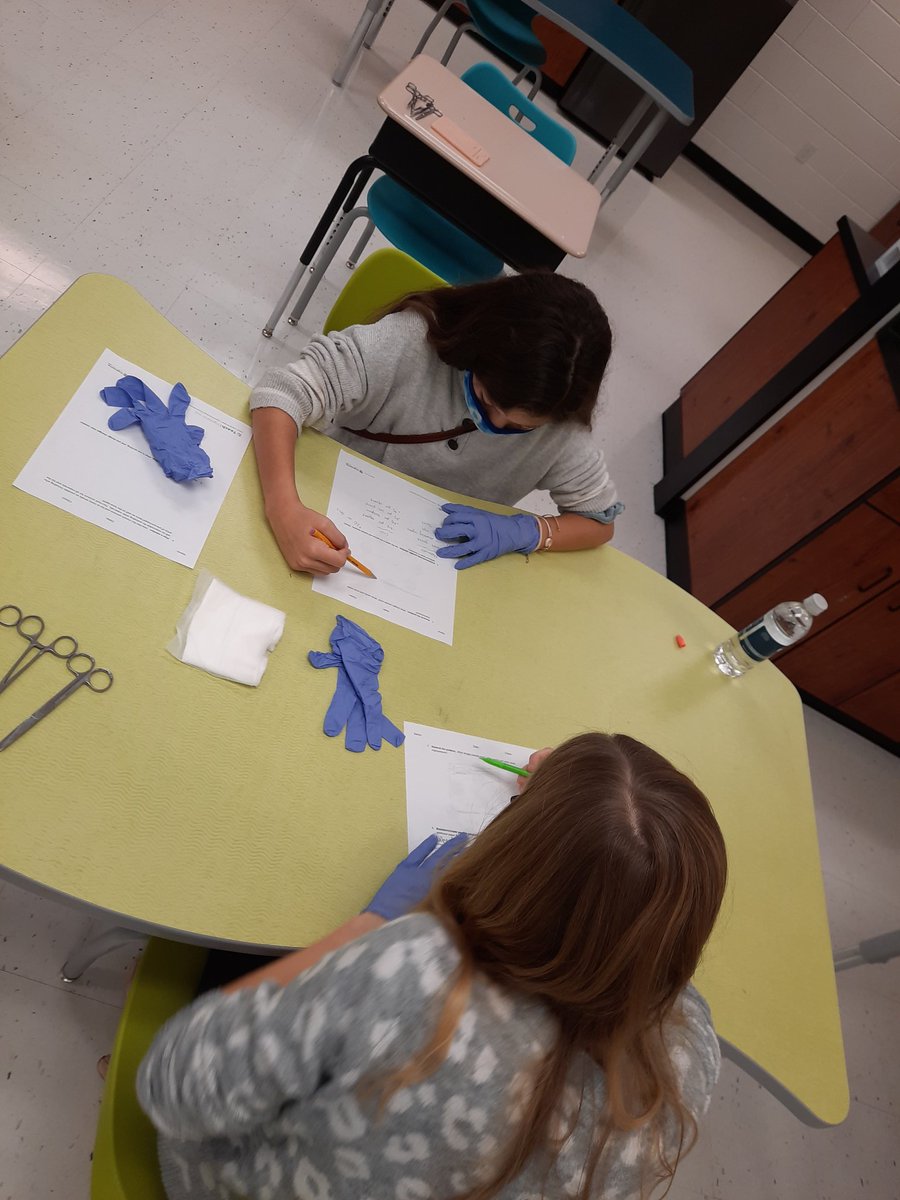 millerscience87's tweet photo. Small group sessions @GlasgowScotties middle school designing bandages for head wounds. #AdvancedMedicine https://t.co/bW1qzW0pdg https://t.co/7KCj4qN2JL