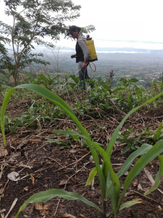 Desde la Tupareña Yaracuy cumpliendo orientaciones.del Secretario General Nacional José Tomas Pinto Marrero cumpliendo primera línea operativa MRT (Siembra) el 06 de Diciembre 
#liberaapintocontuvoto vota en la

Tarjeta del PCV 
.<a href="/Venezuela_MRT/">Tupamaro Venezuela</a>