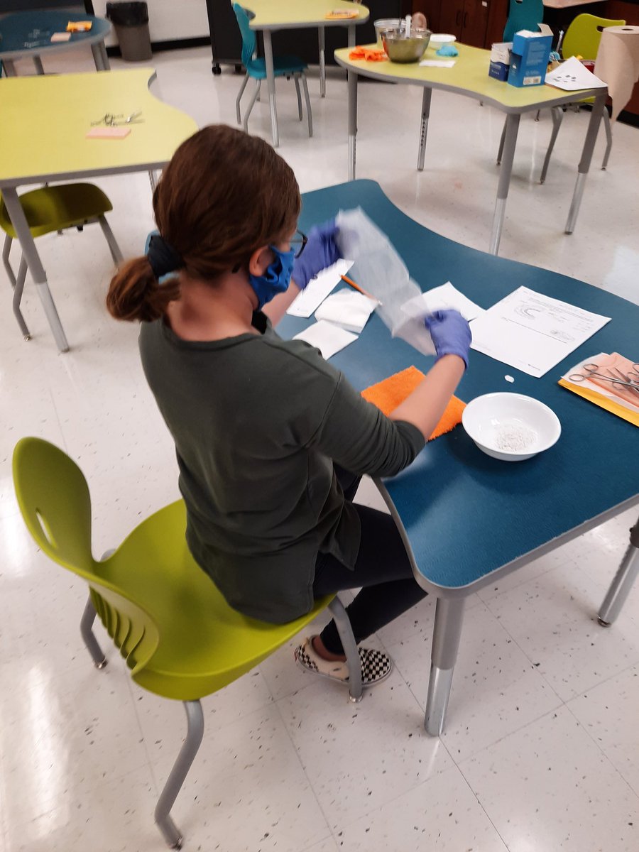 millerscience87's tweet photo. Small group sessions @GlasgowScotties middle school designing bandages for head wounds. #AdvancedMedicine https://t.co/bW1qzW0pdg https://t.co/7KCj4qN2JL