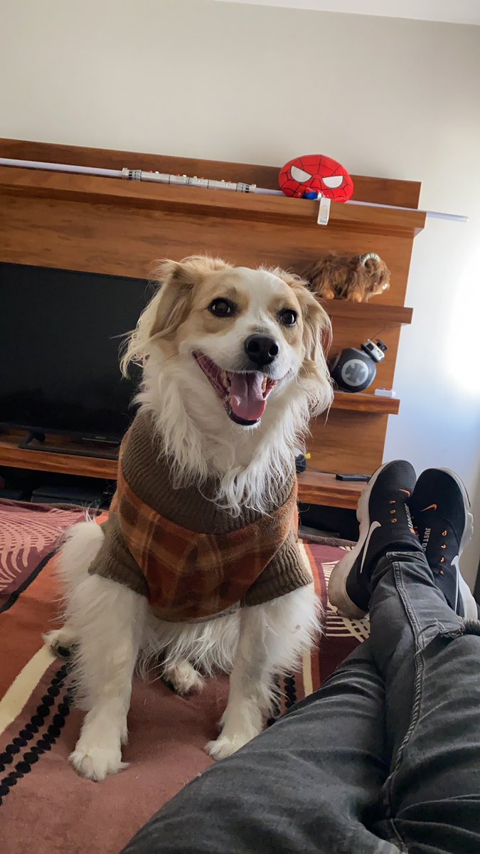 Dale like a este tweet sin ninguna razón