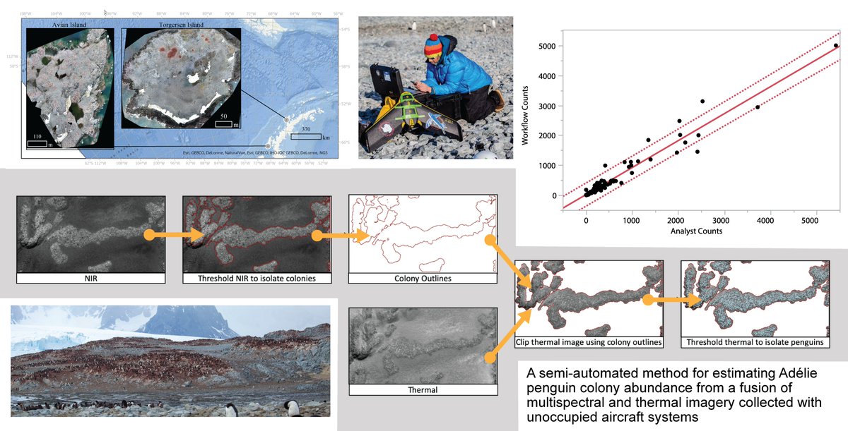 My first first-author paper! Excited to share the first project I worked on w/@MarineUAS as an undergrad using a fusion of UAS imagery for semiautomated #penguin counts. Check it out in the @RemoteSens_MDPI #SheMaps Special Issue! 

#drones4good

mdpi.com/2072-4292/12/2…
