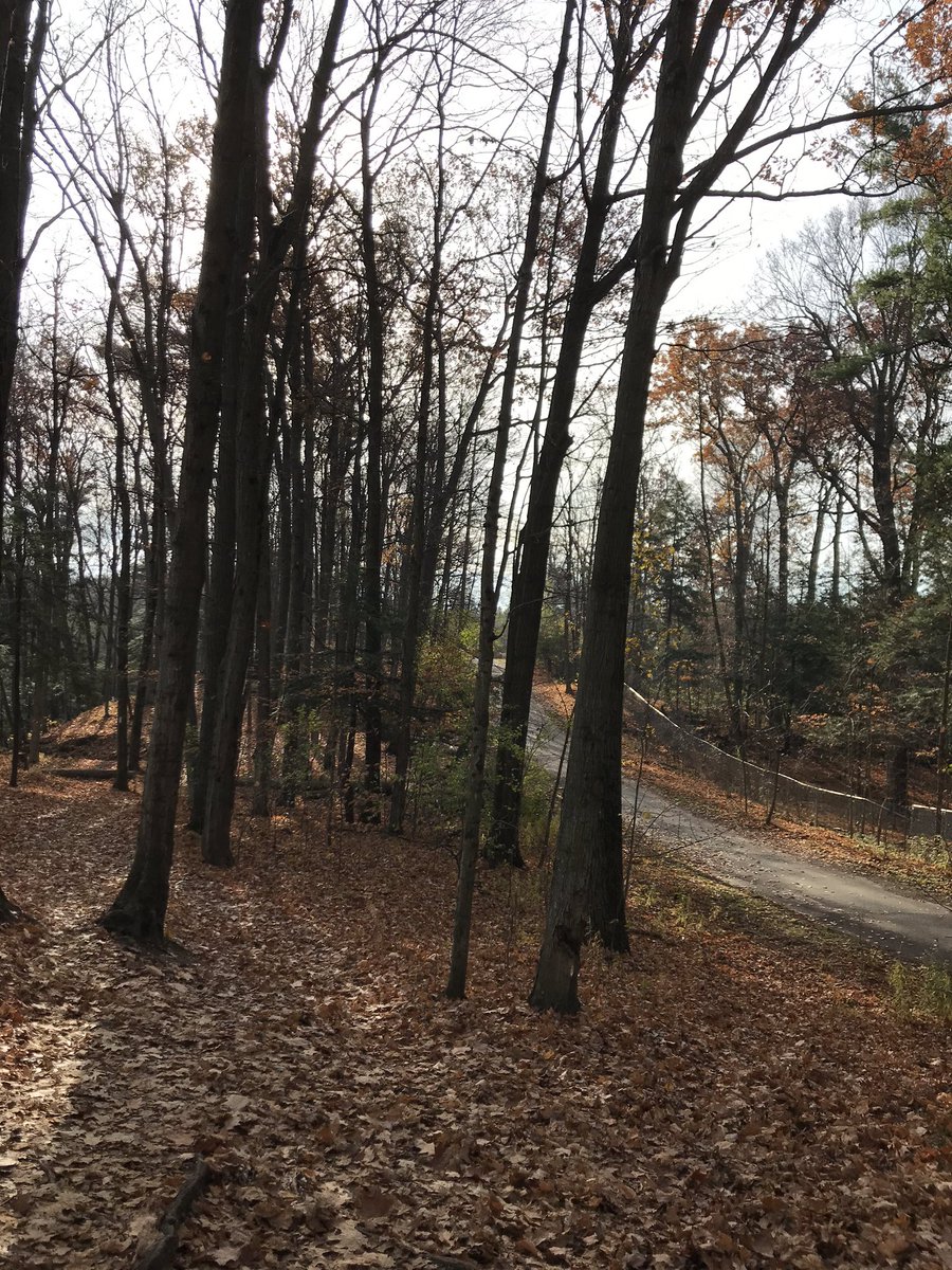 PFahimian's tweet photo. Great morning at #Homerwatsonpark ! It was really nice to get some nature therapy today plus we had a magical time with the birds!
#exploreKitchener #CityofKitchener https://t.co/LSMBw0dFEG