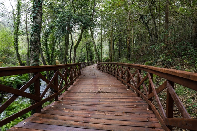 Alberto Ribas tweet media