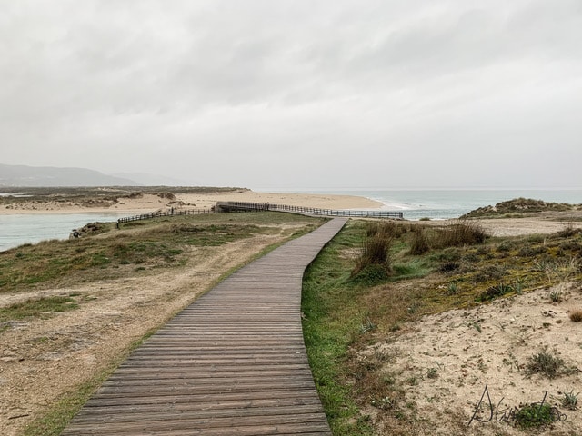 Alberto Ribas tweet media