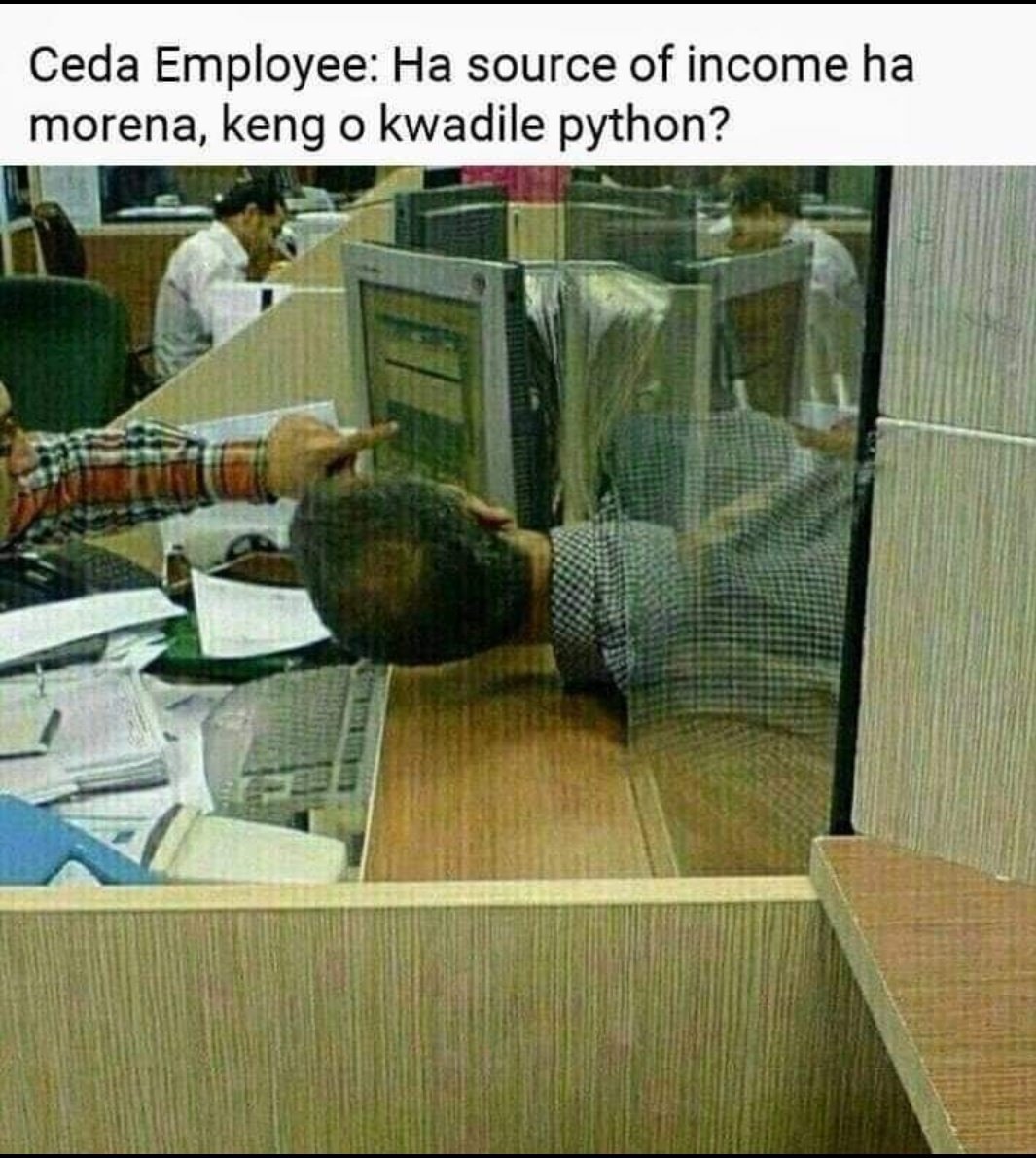 SIRTbang's tweet photo. Bafana ba 🤣😂 https://t.co/i6MUhadlcO