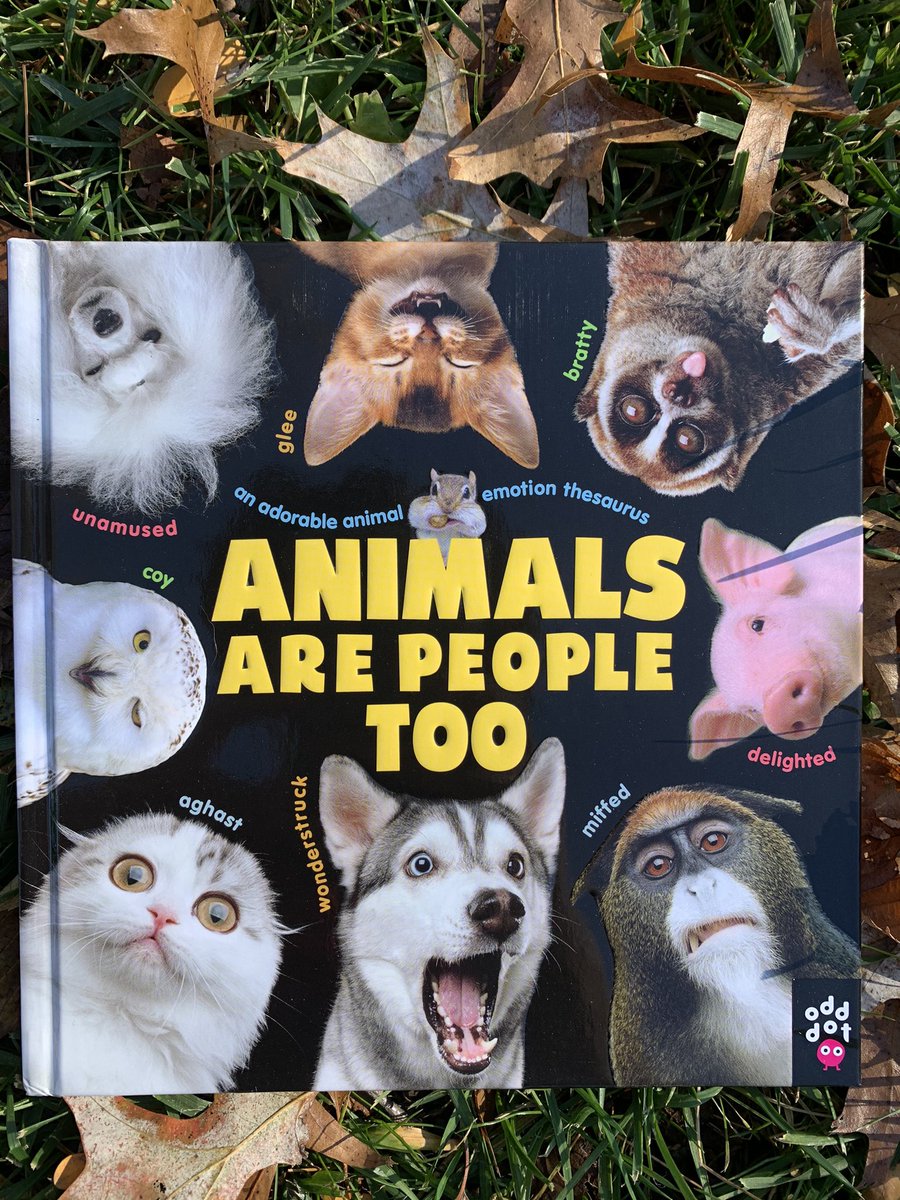 LFLonPlant's tweet photo. Putting out this dog-themed set of books in honor of Major, who will be the first rescue dog to call the White House home! 🐶 🇺🇸 

(Champ, we like you too!)

@firstdogsusa #DOTUS https://t.co/kYcMLWpMUO