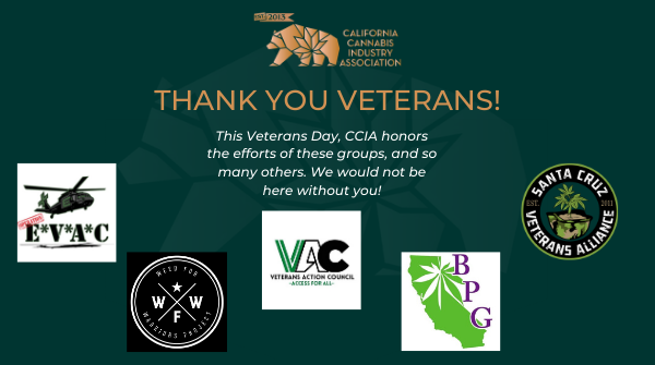 This #VeteransDay, CCIA thanks our veteran advocates fighting on behalf of safe access for our heroes at home.
 
Since Prop 215, groups like <a href="/opevac/">Operation EVAC</a>, <a href="/SC_Veterans/">Santa Cruz Veterans Alliance</a>, @V_ActionCouncil, <a href="/BPGtweet/">Berkeley Patients Group</a> and Weed for Warriors have been at the forefront of veteran access
 
THANK YOU VETERANS!