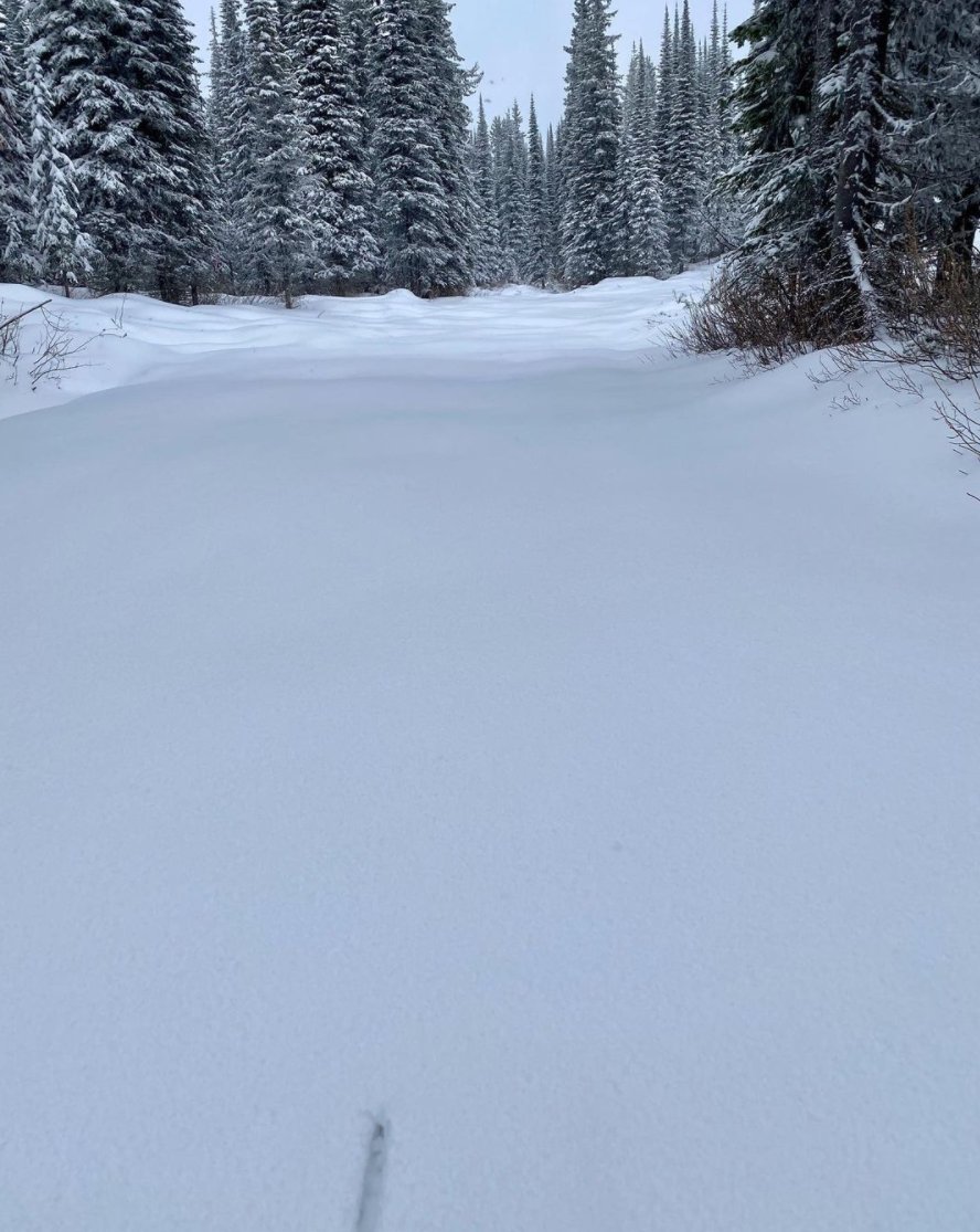 Sovereign Lake tweet media