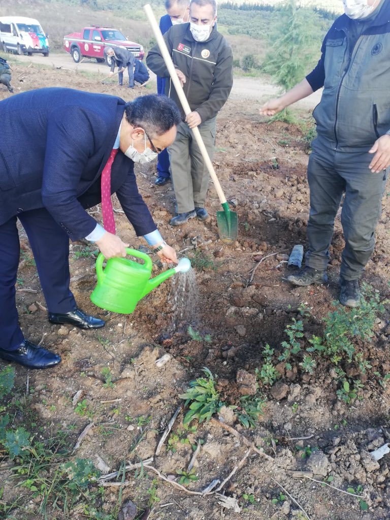orhanzafer25's tweet photo. 11 Kasım #MilliAğaçlandırmaGünü kutlu olsun. 🌲🇹🇷 🌳
Osmangazi Kaymakamlığımıza bağlı İlçe Müdürlerimiz ile “Millî Ağaçlandırma Günü Fidan Dikim Etkinliği” kapsamında yüzlerce fidanı toprakla buluşturarak #GeleceğeNefes olduk.... https://t.co/6FM9SPzoIn