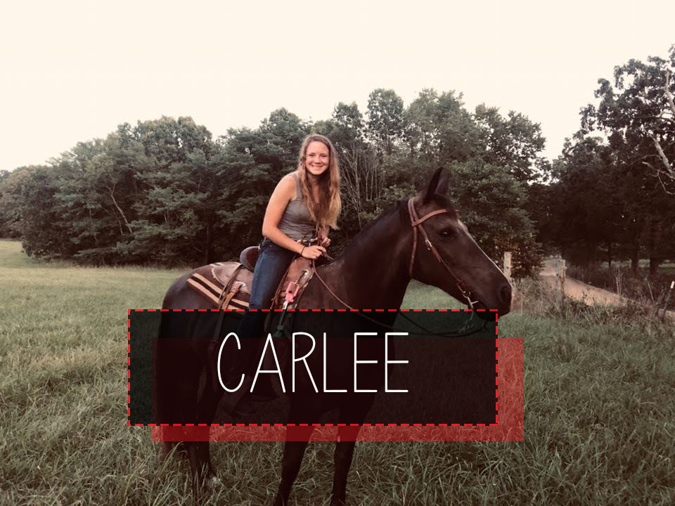 Redhawks Equestrian tweet media
