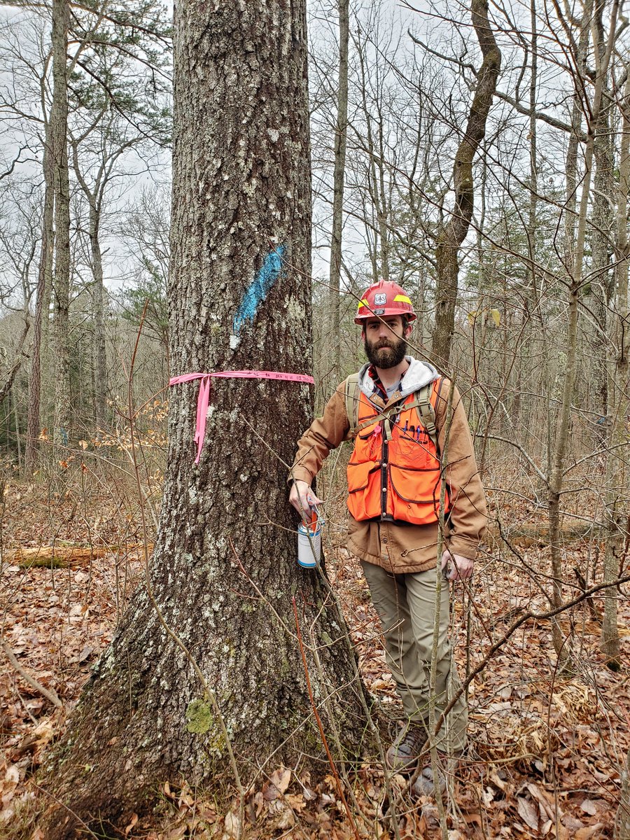 TheCorpsNetwork's tweet photo. Thank you to our Veterans.
This month, we honor #Veterans with stories about Veterans Corps & the inspiring people who serve in these programs. Today, meet Adam, a Marine now working w/ the @forestservice after training w/ @madamsinstitute.
#VetsInService
https://t.co/j3QgujKpFM https://t.co/N5LIVg58Cz