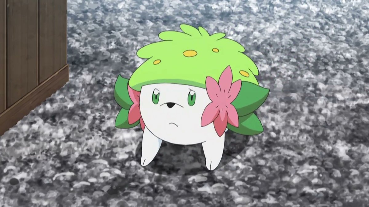 shaymin_clover's tweet image. Well it looks like someone else has the same idea as me with the clover emojis next to the name, I hope he or she doesn't mind, we all have ideas and don't think it's already taken.

#sameideas #didNotKnow