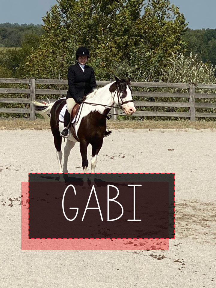 Redhawks Equestrian tweet media