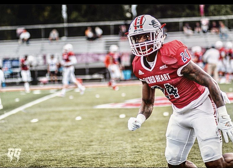 Nick DeMatteis tweet media