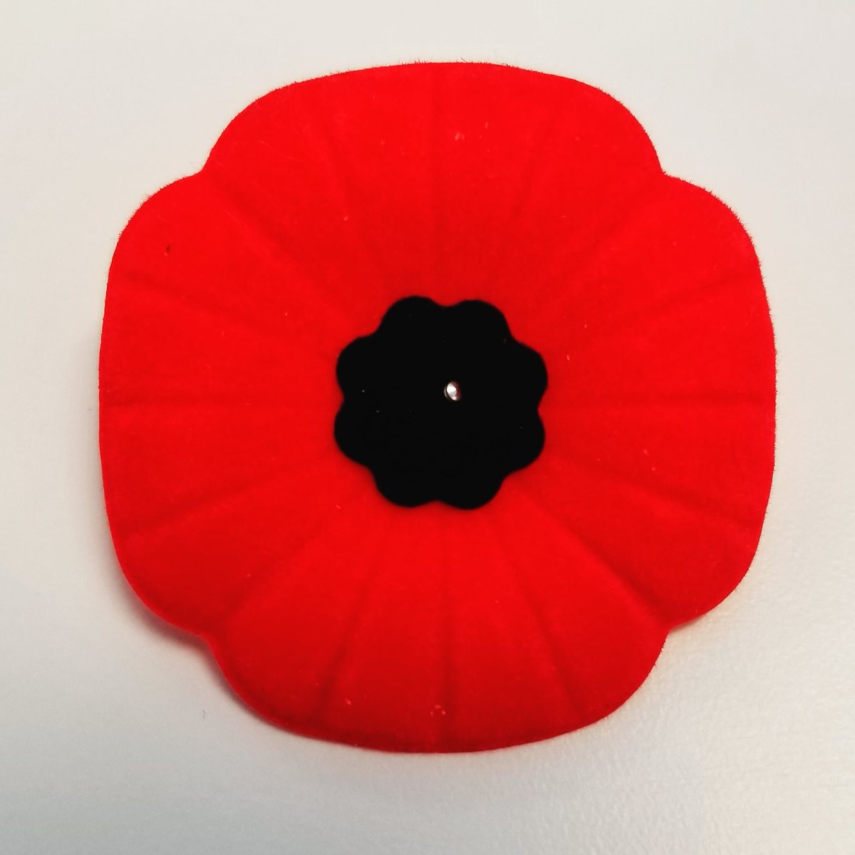 Never Forget.
#RemembranceDay2020