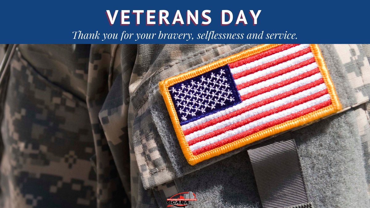 Thank you to all who have served our GREAT NATION! #VeteransDay2020 #VeteransDay