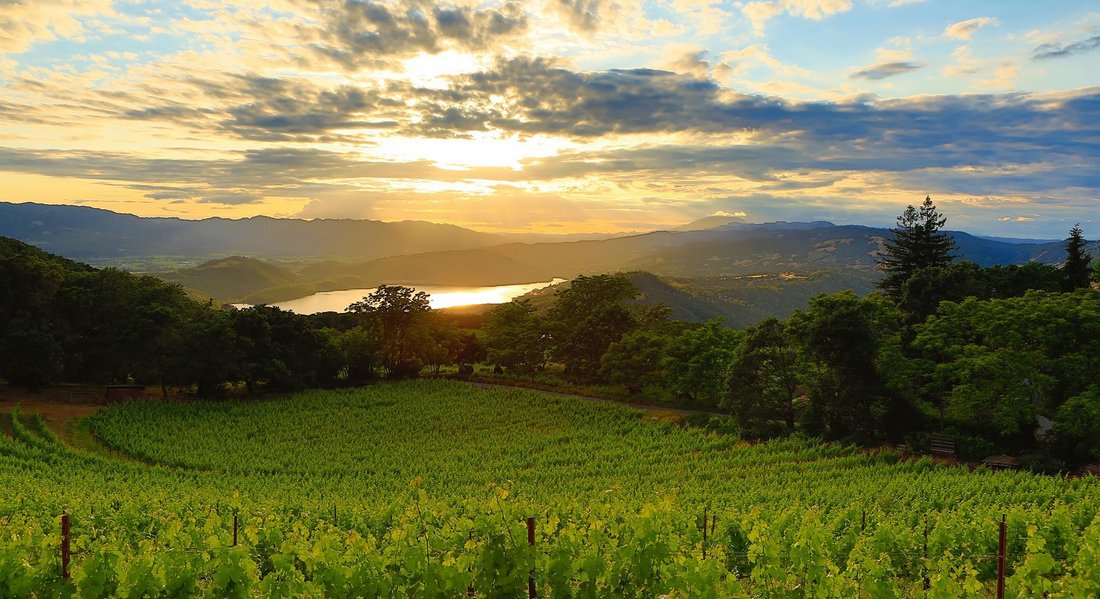 Resharing this article I wrote in Spring 2020, published in Very Napa Valley, looking at the "Grand Cru" #vineyards of #NapaValley. This article was enjoyable to write. I am blessed to live in such a beautiful winegrowing region. #wine 

mvfooddrink.com/food--drink-bl…