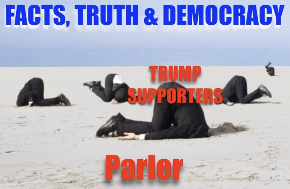 DettaDJ's tweet photo. #TruthMatters #facts #SaveDemocracy #BidenTransition #bidenharis2020 https://t.co/LXcqOkybdy