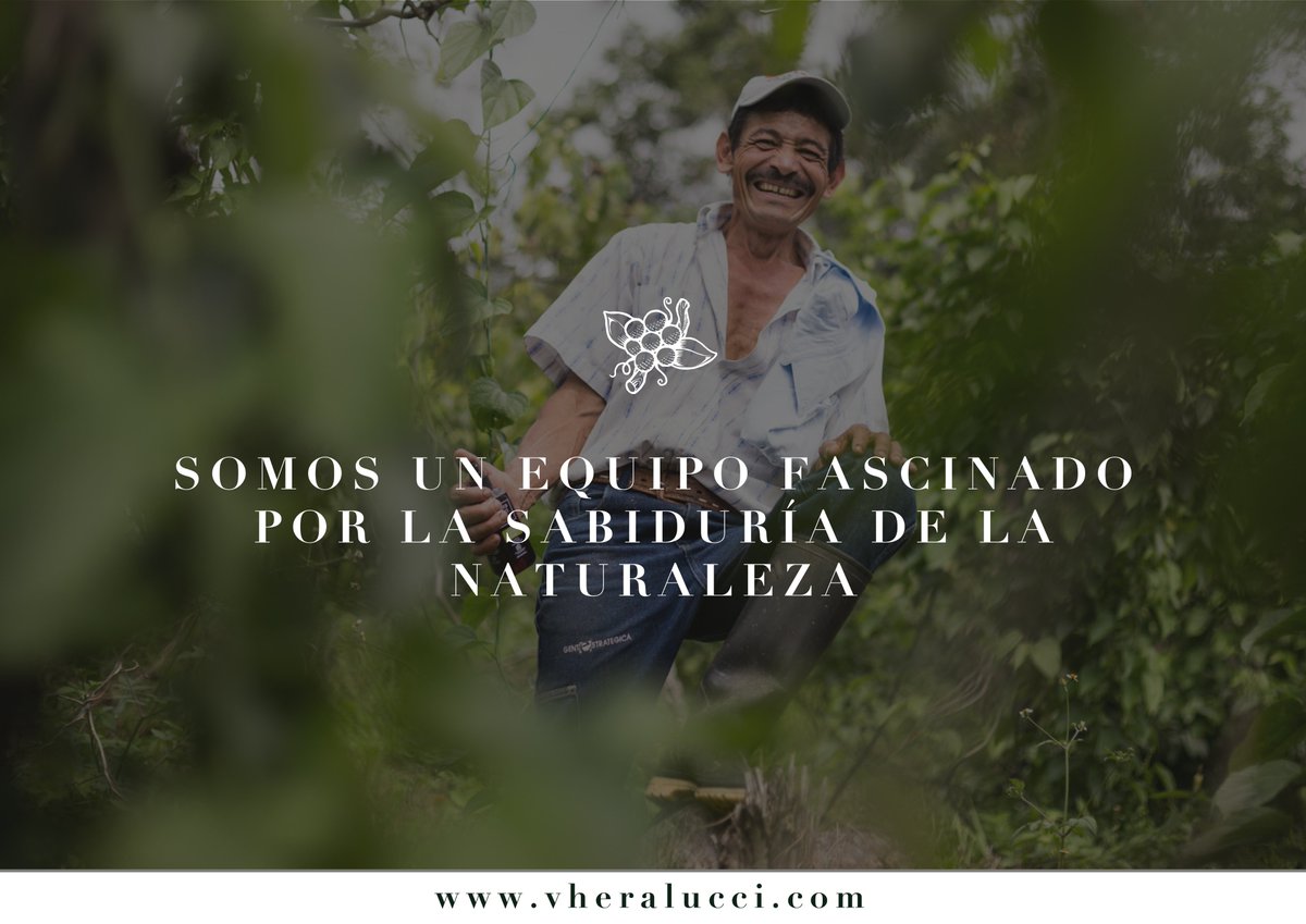 Queremos que conozcas #biocosméticos con los mejores ingredientes de origen natural. 

En nuestro equipo #VheraLucci nos preocupamos principalmente por aprender de la sabiduría de la naturaleza

Somos promotores de la voz de la naturaleza. Haz parte del #movimientovl