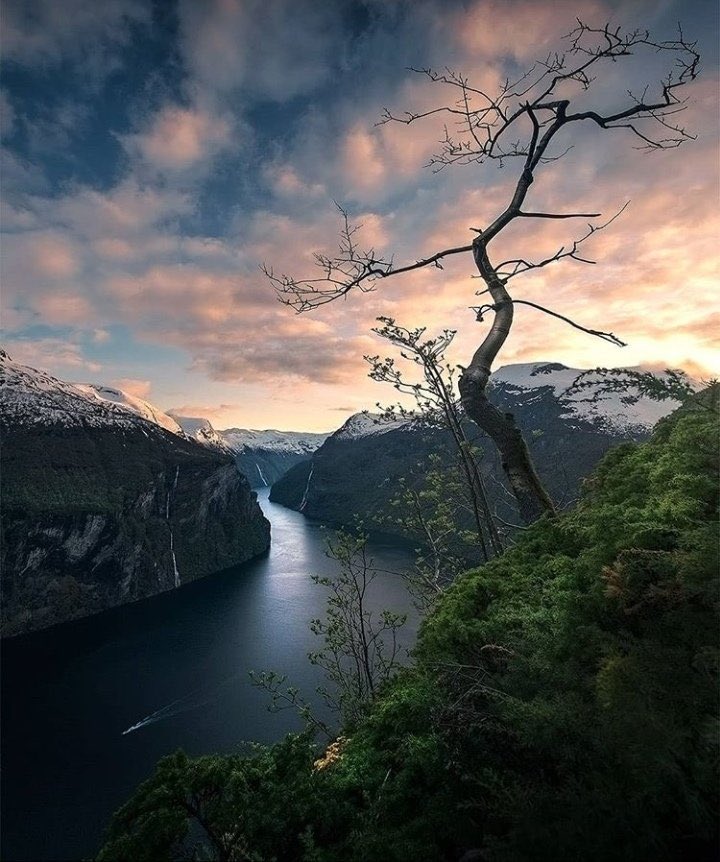 TraveIPortraits's tweet photo. 📍Bergen, Norway 🇳🇴
#Bergenshalvøya #norvegia #norway #vestland #nature #norge #river #mountains #snow #travel #fjorder #fjords https://t.co/fq76NFGMpP