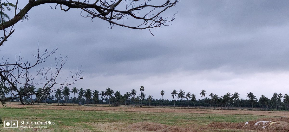 narain_21's tweet image. Photography practice with #oneplus6T
#Eastgodavari 
#Kakinada.