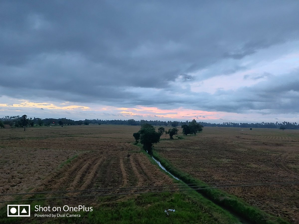 narain_21's tweet image. Photography practice with #oneplus6T
#Eastgodavari 
#Kakinada.