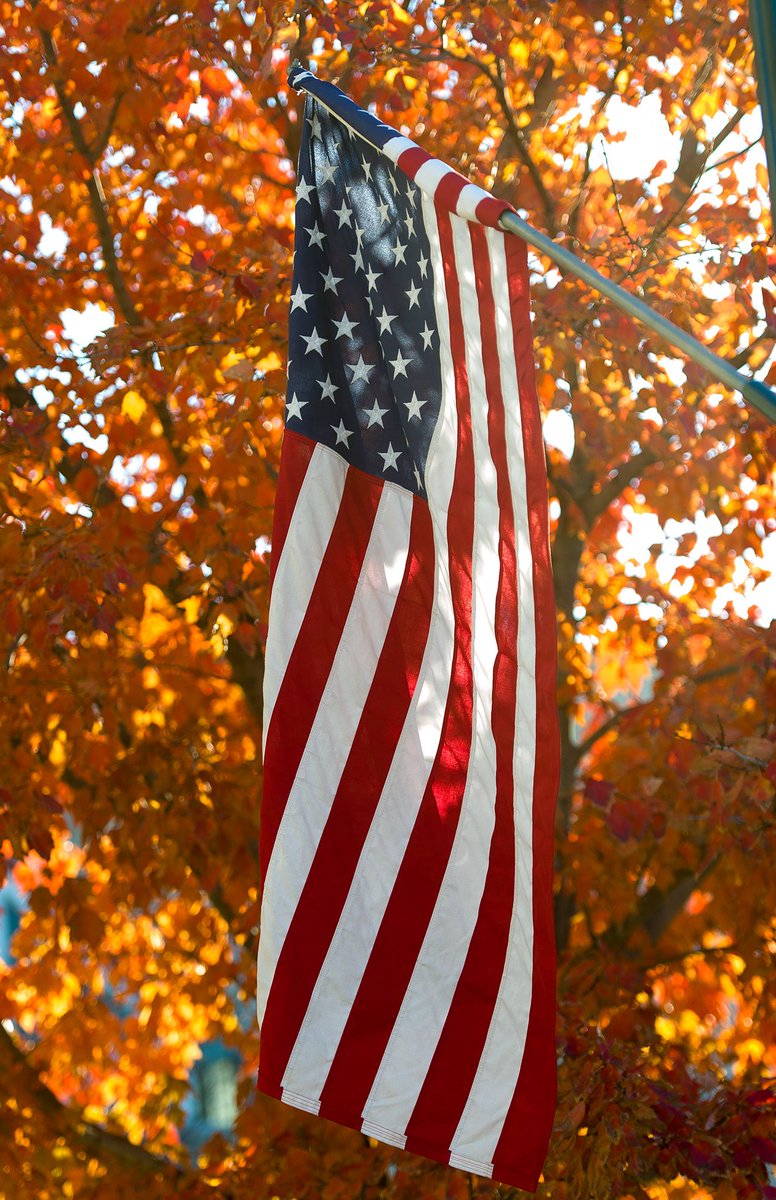 KState's tweet photo. Veterans, we salute your gallant service to our country. https://t.co/C8eh3nGrLT