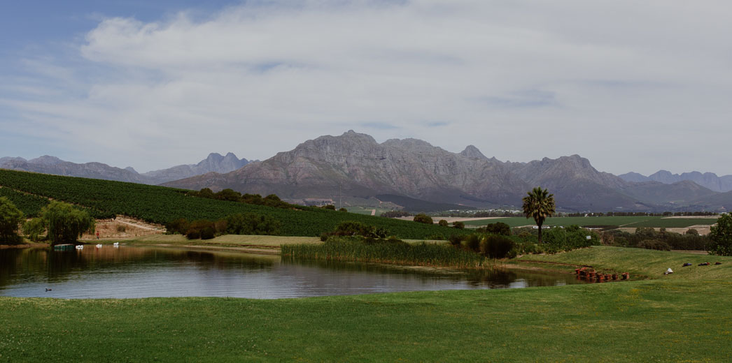 AsaraEstate's tweet photo. Wake up to breathtaking views at Asara..
Our online bookings are open https://t.co/fl1r8oarny bookings are essential!
#asara #asarawines #asaraestate #stellenbosch #luxuryhotel https://t.co/v7EMfFwQWe