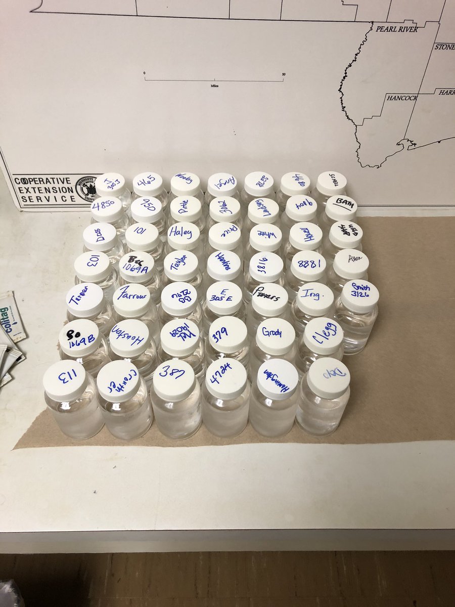 These are the mornings that us nerdy private well people get all excited!! #privatewell #water #hydrationishappiness #drinkingwater