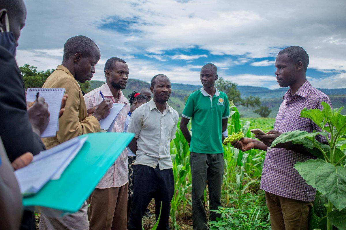 unyfa1's tweet photo. The country-wide coverage is proportioned into six regions; West Nile, Northern, Far-East, Eastern, Central &amp; Western in order to ease our work of reaching out to #YouthInAgricUg who are at the grass root levels. Each of the region has an average number of nine (9) districts. https://t.co/CijAsDr5Si