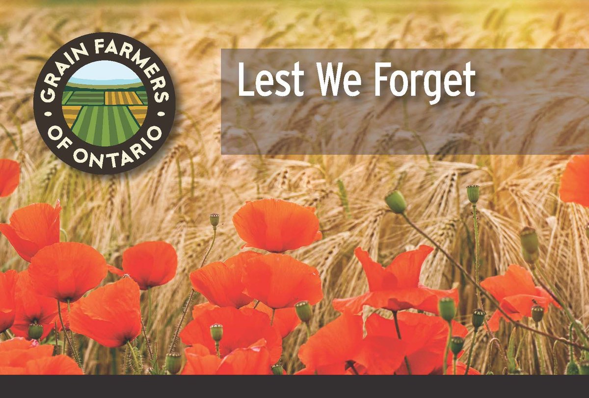 Today, take a moment to pay respect and honour the brave men and women who made the ultimate sacrifice. We honour you, and we thank you. #CanadaRemembers #LestWeForget #RemembranceDay