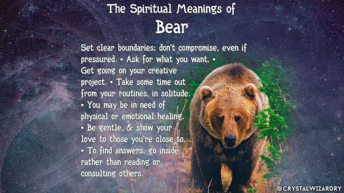 CrystalWizardry's tweet photo. When Bear shows up, it can mean:

#animalspirit 🧙‍♂️ #crystalwizardry https://t.co/gx3heskpmT